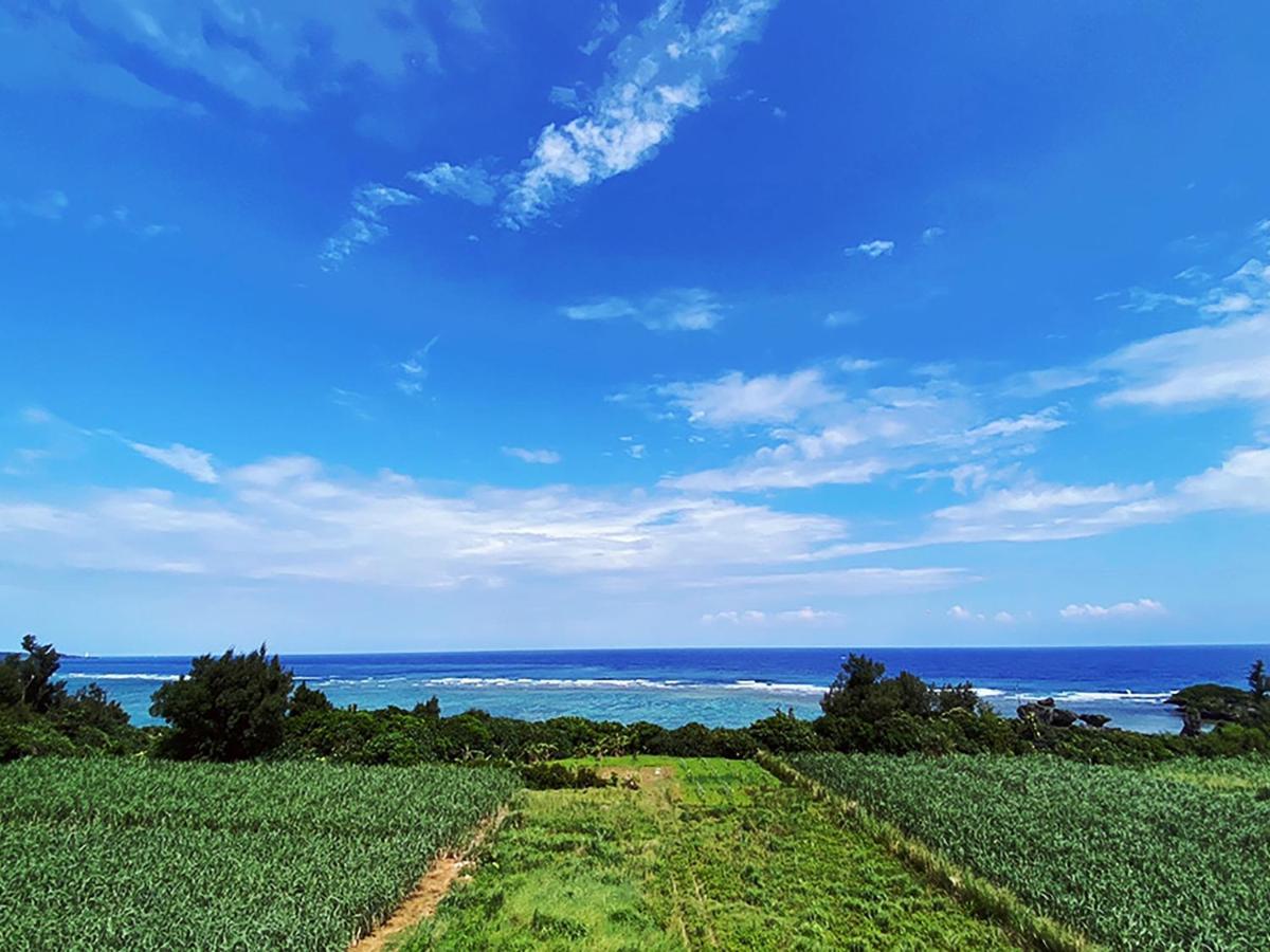 Appartement 真栄田グランブルー403 ~ Maeda Grand Blue 403 ~ à Onna Extérieur photo